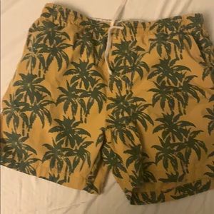 Palm tree shorts